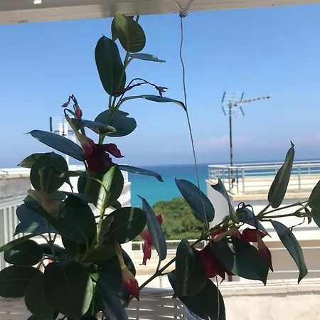 Vistamareblu 산포카