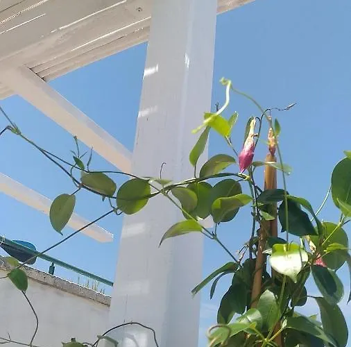 Vistamareblu Bed & Breakfast 4*